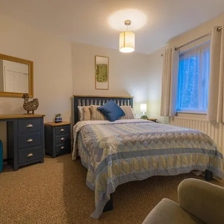 Holly 安布尔塞德